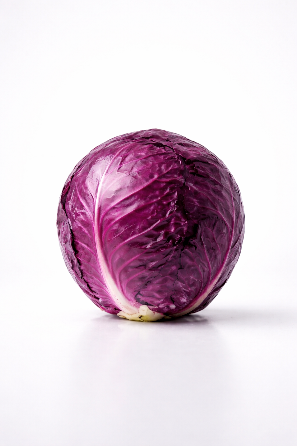 लाल पत्ताकोबी (Red cabbage)